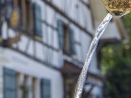 Photo Walk Allschwil; Joe Theiler
